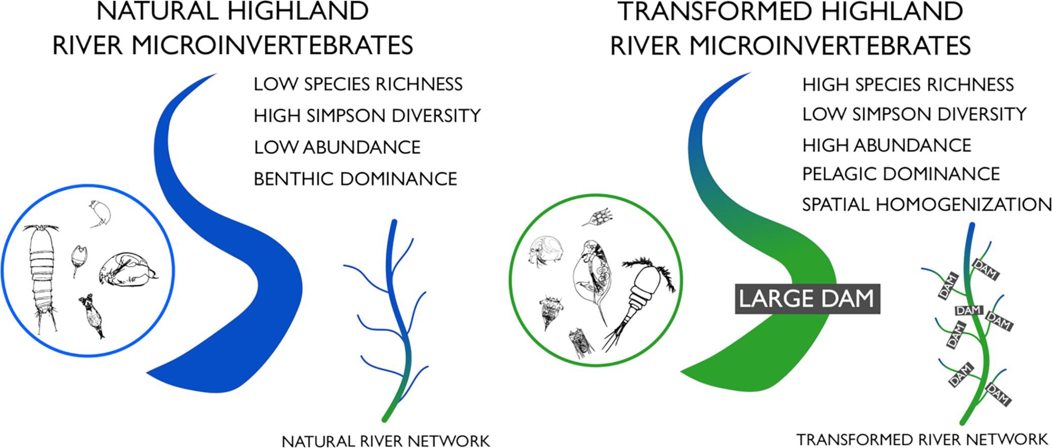 Hydro-modifications matter: Influence of vale transformation on microinvertebrate communities